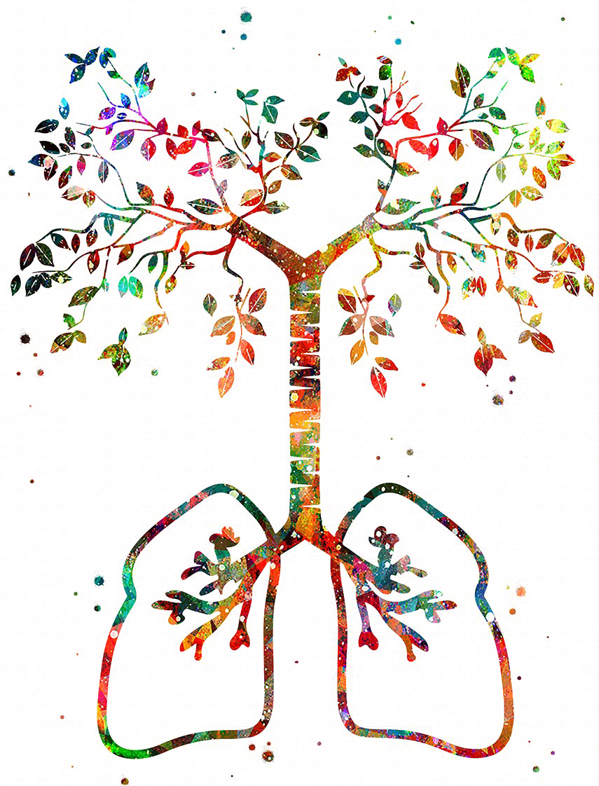2019-10- poumons-arbre